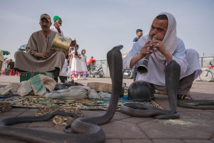 Main market square, Snakes, Marrakesh, Morocco. מרקש, שוק גמ'ע אל פנה