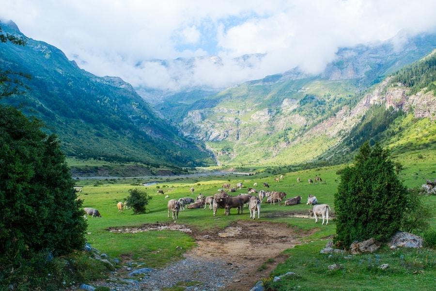 Ourika Valley, Morocco. עמק האוריקה, במרוקו