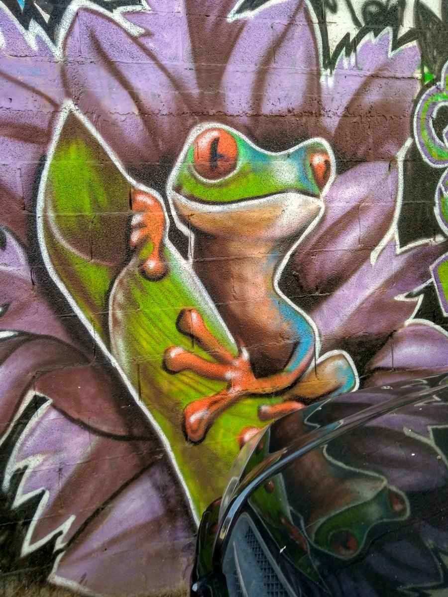 Israel - Tel Aviv Florenin neighborhood street art. Frog mural