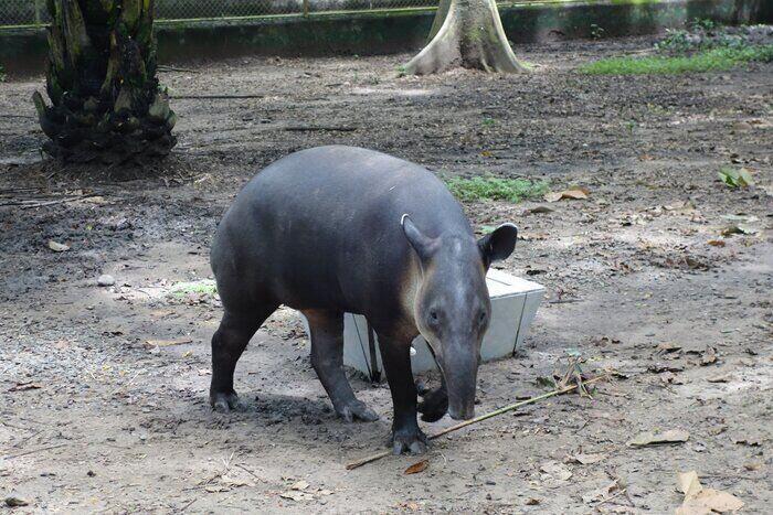 Volunteering in Costa Rica